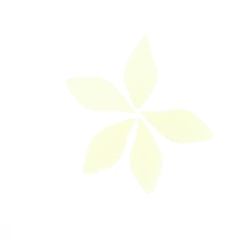 annikids3149040