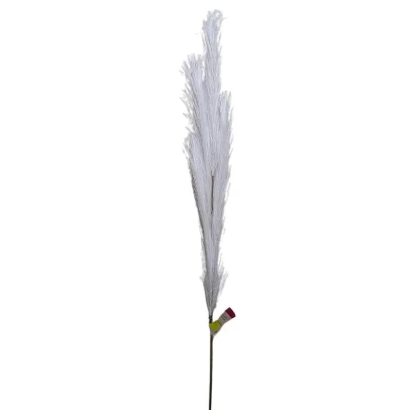 ciel-en-fete3429729