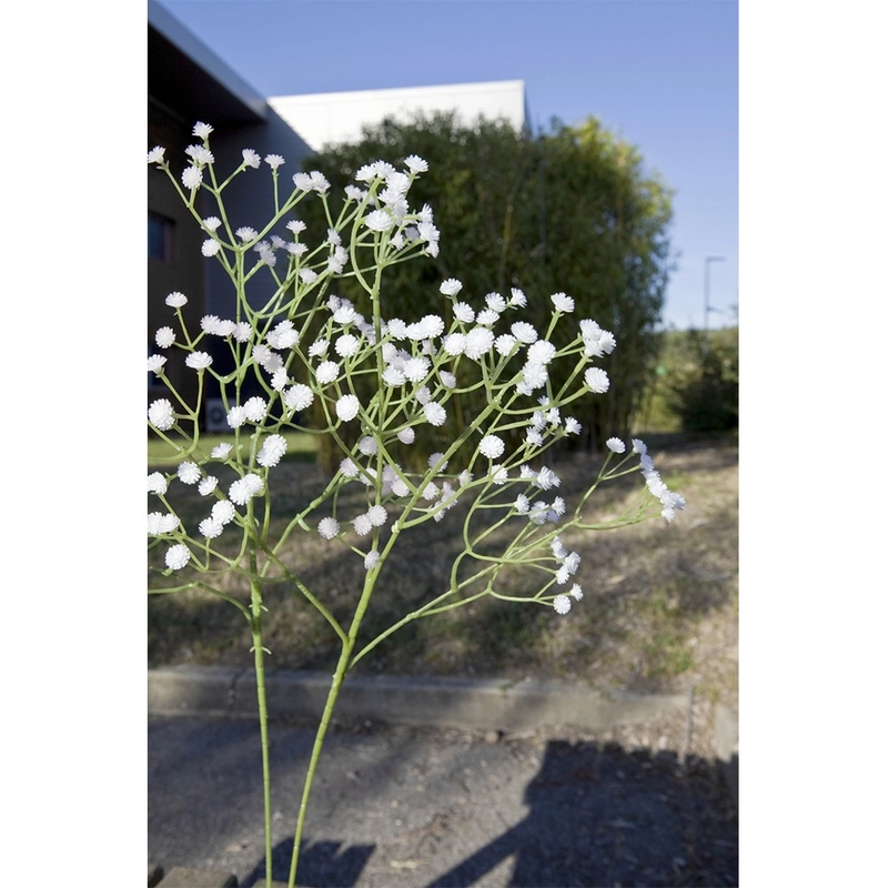 feter-recevoir3150076